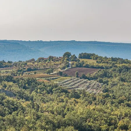 Pet Friendly Home In Buje *